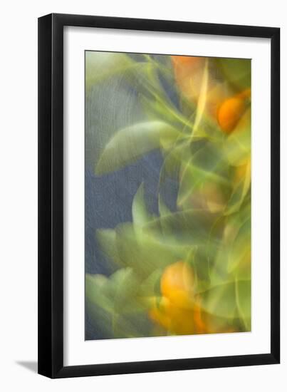 Abstract Vision I-Karyn Millet-Framed Photographic Print