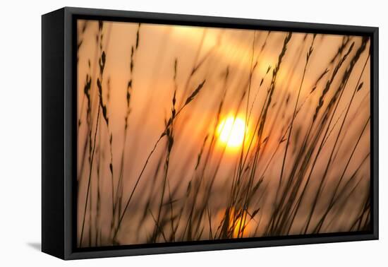 Abstract Visions-Adrian Campfield-Framed Stretched Canvas