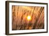 Abstract Visions-Adrian Campfield-Framed Photographic Print