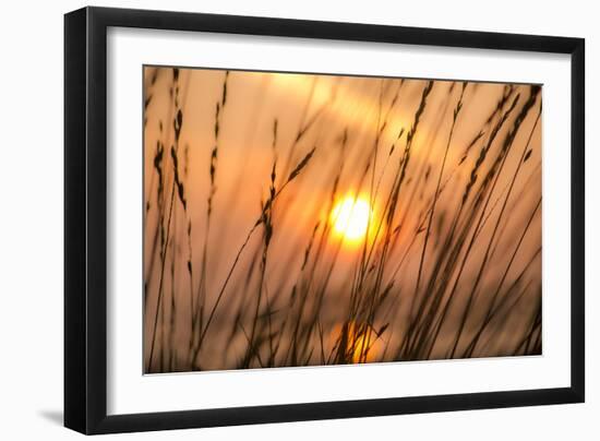 Abstract Visions-Adrian Campfield-Framed Photographic Print