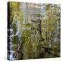 Abstract Water 100231-Rica Belna-Stretched Canvas