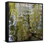 Abstract Water 100231-Rica Belna-Framed Stretched Canvas