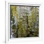 Abstract Water 100231-Rica Belna-Framed Giclee Print