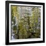 Abstract Water 100231-Rica Belna-Framed Giclee Print