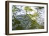 Abstract Water 1014-Rica Belna-Framed Giclee Print