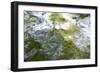 Abstract Water 1014-Rica Belna-Framed Giclee Print