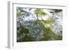 Abstract Water 1014-Rica Belna-Framed Giclee Print