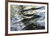 Abstract Water 8578-Rica Belna-Framed Giclee Print