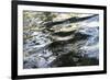 Abstract Water 8578-Rica Belna-Framed Premium Giclee Print