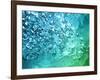 Abstract Water With Bubbles-nikkytok-Framed Photographic Print