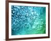 Abstract Water With Bubbles-nikkytok-Framed Photographic Print