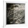 Abstract Water-Rica Belna-Framed Giclee Print