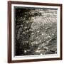 Abstract Water-Rica Belna-Framed Giclee Print