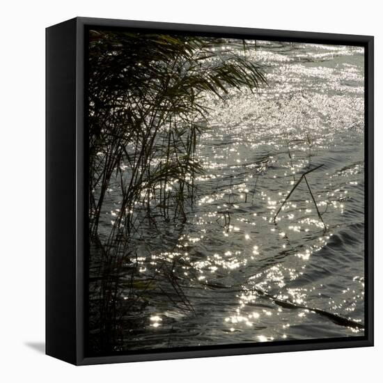 Abstract Water-Rica Belna-Framed Stretched Canvas