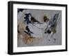 Abstract Watercolor 4121-Pol Ledent-Framed Art Print