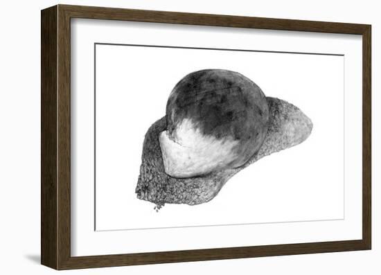 Abstract White Creature on a Rock-Ryuichirou Motomura-Framed Art Print