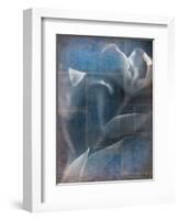 Abstract White Flower on Blue Background-Robert Cattan-Framed Photographic Print