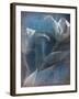 Abstract White Flower on Blue Background-Robert Cattan-Framed Photographic Print