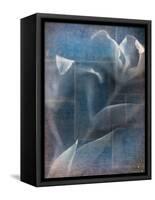 Abstract White Flower on Blue Background-Robert Cattan-Framed Stretched Canvas
