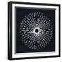 Abstract White Geometric Flower-Eline Isaksen-Framed Art Print