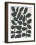 Abstract Wild Botanicals in Black and Beige-null-Framed Art Print