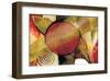 Abstract-Stefan Greenfield-Framed Art Print