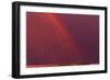 Abstract-null-Framed Photographic Print