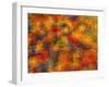 Abstract-null-Framed Giclee Print