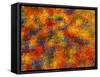 Abstract-null-Framed Stretched Canvas