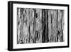 Abstract-Stessi-Framed Giclee Print