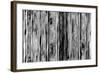 Abstract-Stessi-Framed Giclee Print