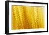 Abstract-null-Framed Giclee Print