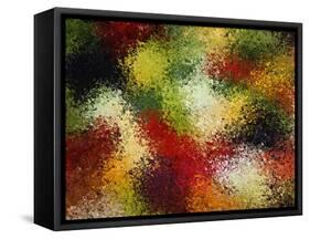 Abstract-null-Framed Stretched Canvas