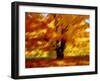 Abstract-null-Framed Giclee Print