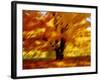 Abstract-null-Framed Giclee Print