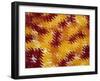 Abstract-null-Framed Giclee Print