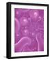 Abstract-null-Framed Giclee Print