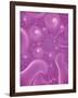 Abstract-null-Framed Giclee Print