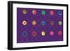 Abstract-Stessi-Framed Giclee Print