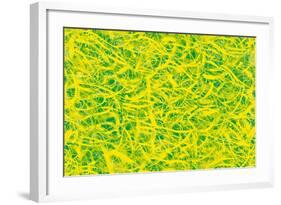 Abstract-Stessi-Framed Giclee Print