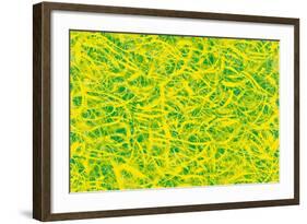 Abstract-Stessi-Framed Giclee Print