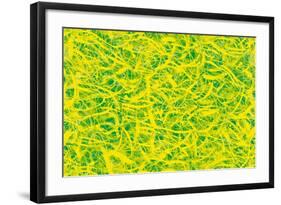 Abstract-Stessi-Framed Giclee Print