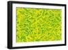 Abstract-Stessi-Framed Giclee Print