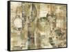 Abstract-Marietta Cohen Art and Design-Framed Stretched Canvas