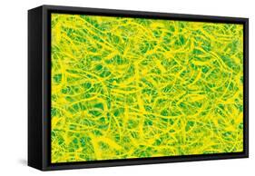 Abstract-Stessi-Framed Stretched Canvas