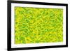 Abstract-Stessi-Framed Giclee Print