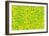 Abstract-Stessi-Framed Giclee Print