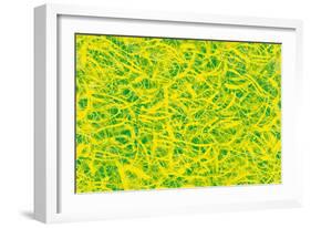 Abstract-Stessi-Framed Giclee Print