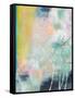 Abstracted Botanical One-Jan Weiss-Framed Stretched Canvas