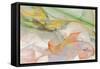 Abstraction 10713-Rica Belna-Framed Stretched Canvas